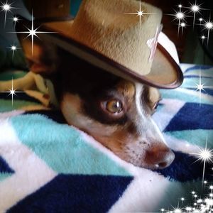 Meet your Posher, Blanca